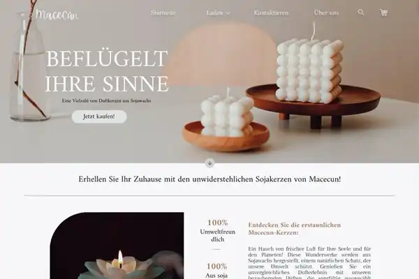 website-design-case3