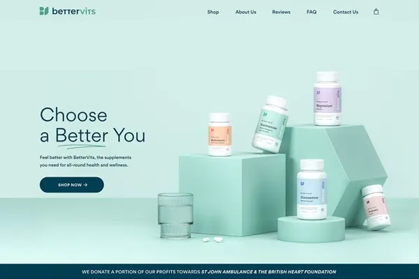 website-design-case4